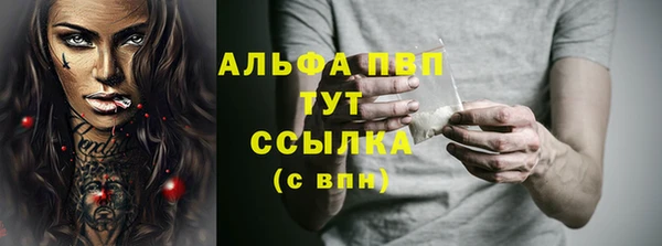 ешки Белокуриха