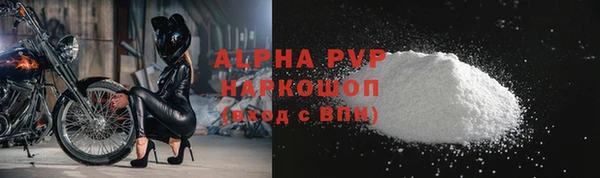 ешки Белокуриха