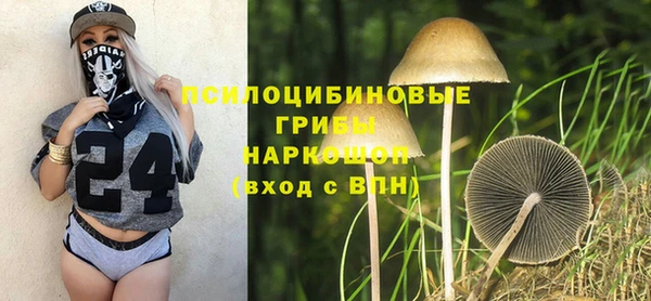 ешки Белокуриха
