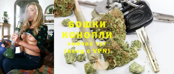 apvp Богданович