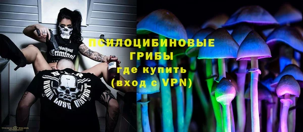 твердый Богородицк