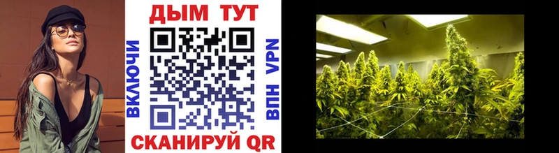 Бошки марихуана LSD WEED  купить закладку  Барнаул 
